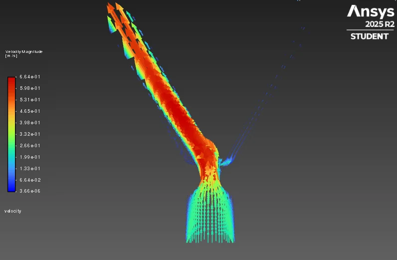 Blood Flow Dynamics with Plaque Formation