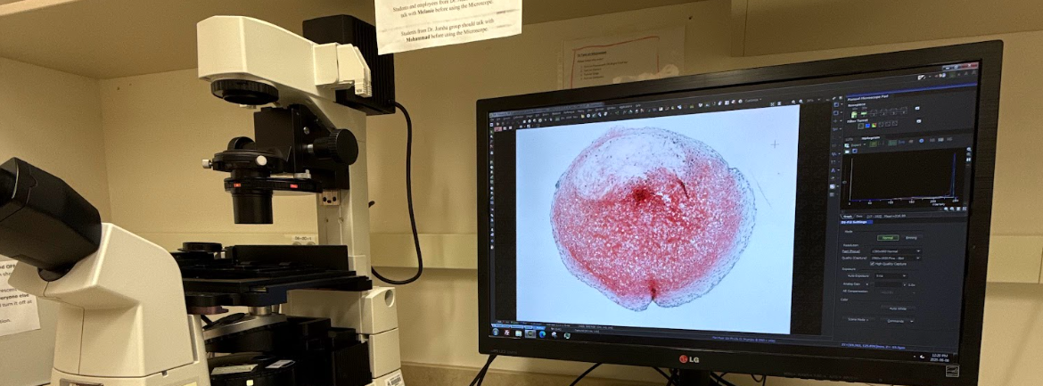 project-highlight-image