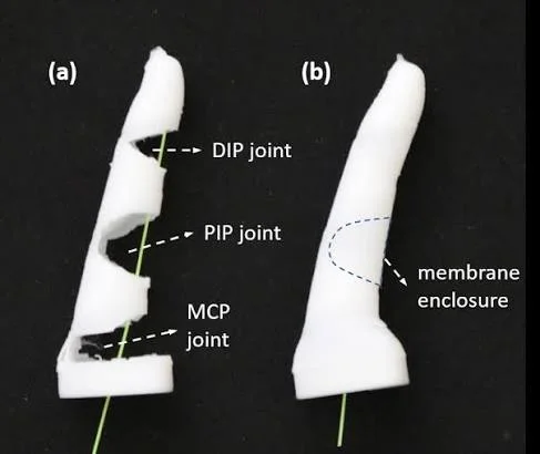 Soft Robotic Finger