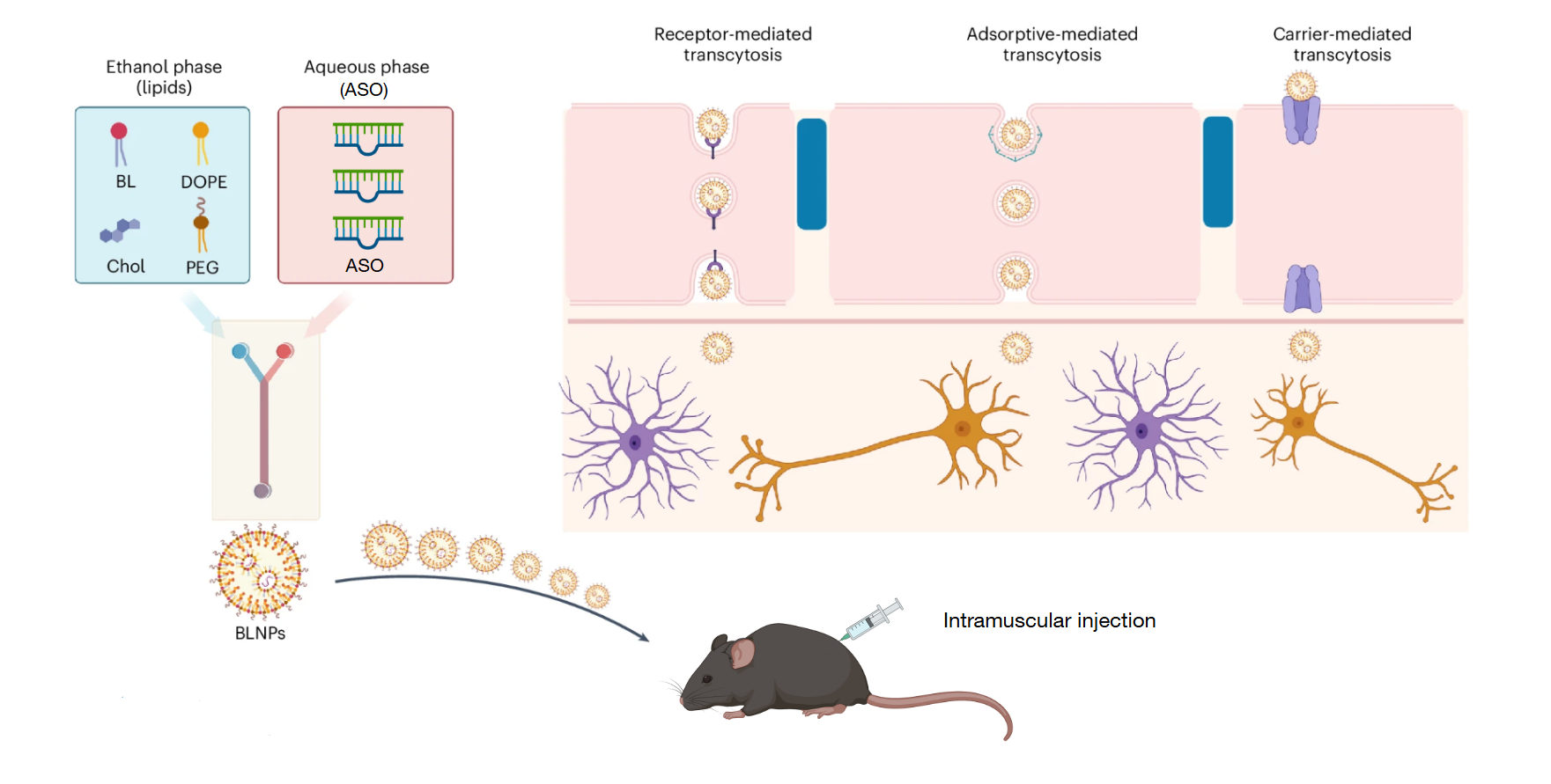 project-highlight-image