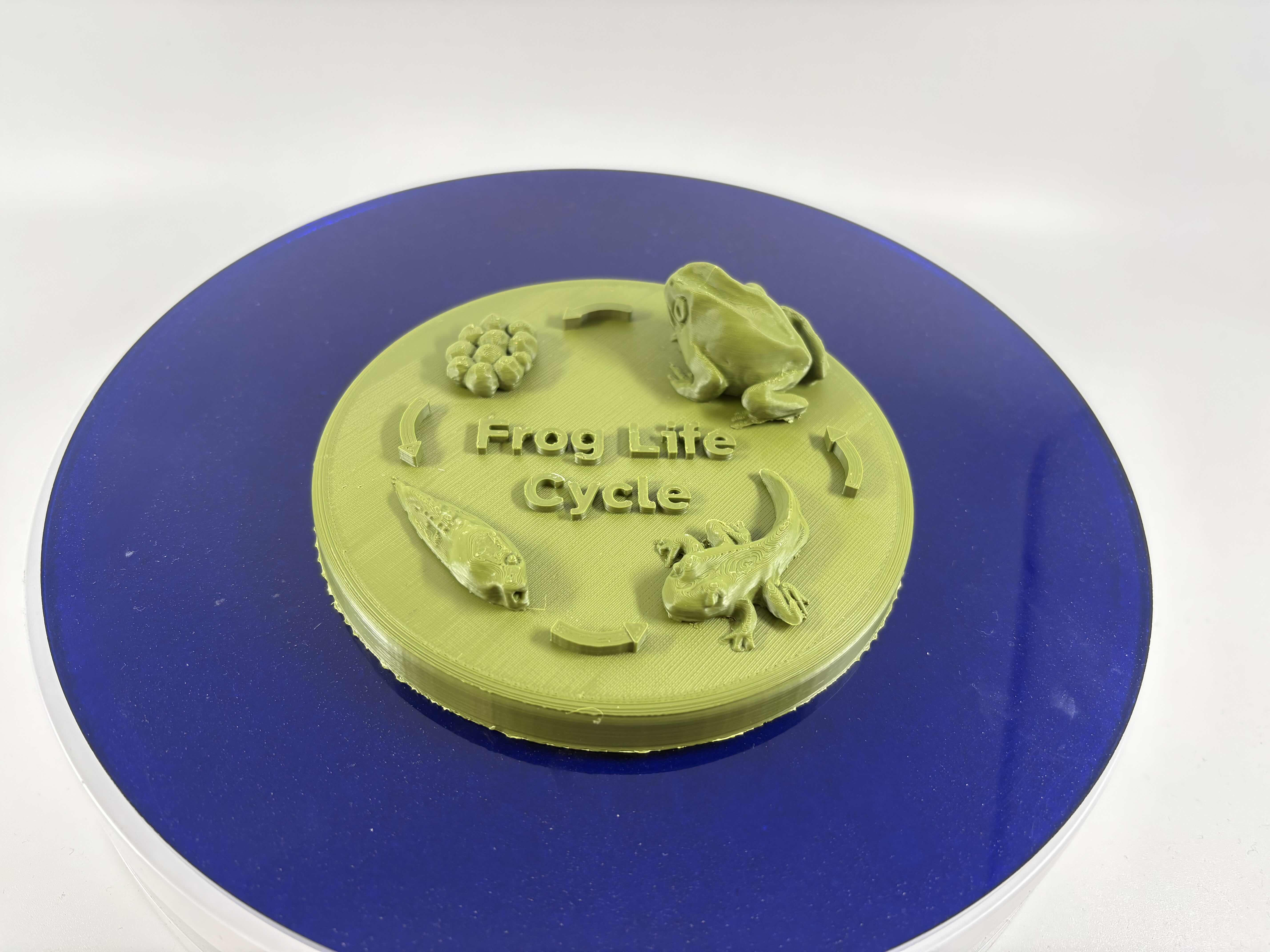 project-highlight-image