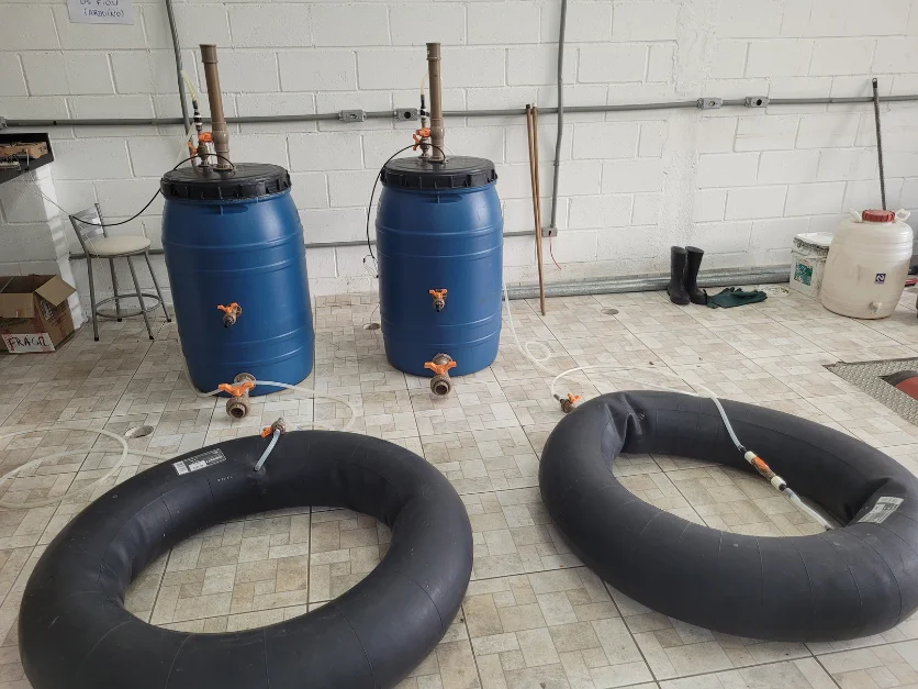 Residential Food-Waste Biodigesters: Testing Biomass Immobilization