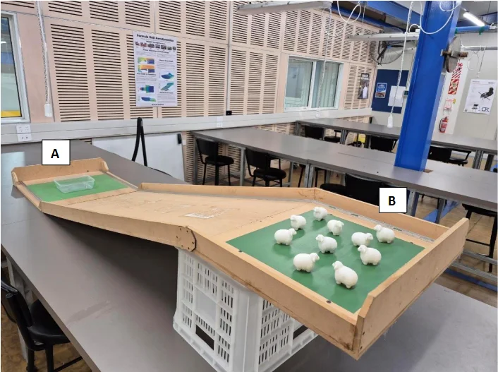 3rd year project - Sheep Wrangling Machine