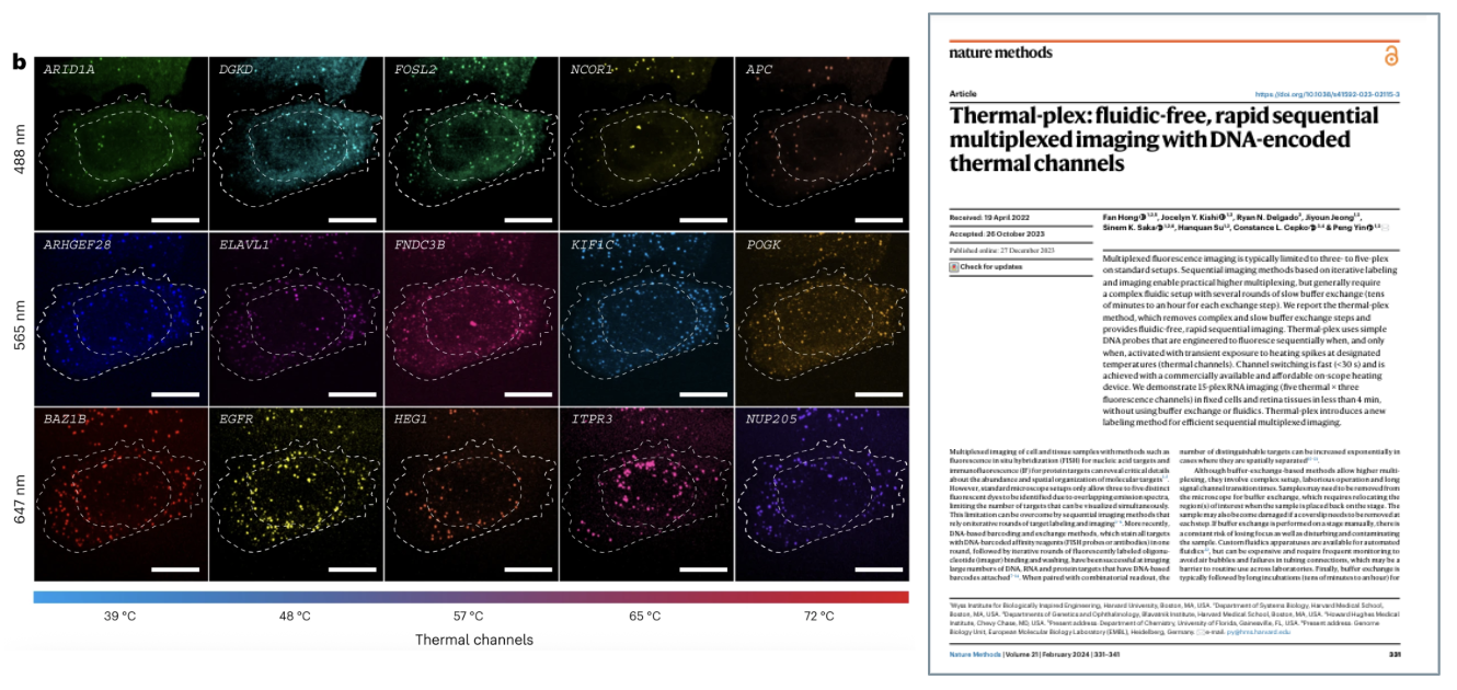 project-highlight-image
