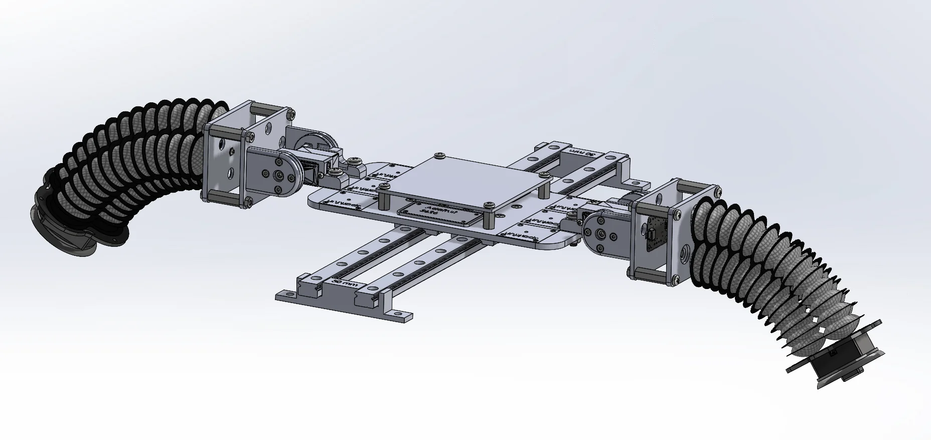 Morphable BioRobotics Lab 