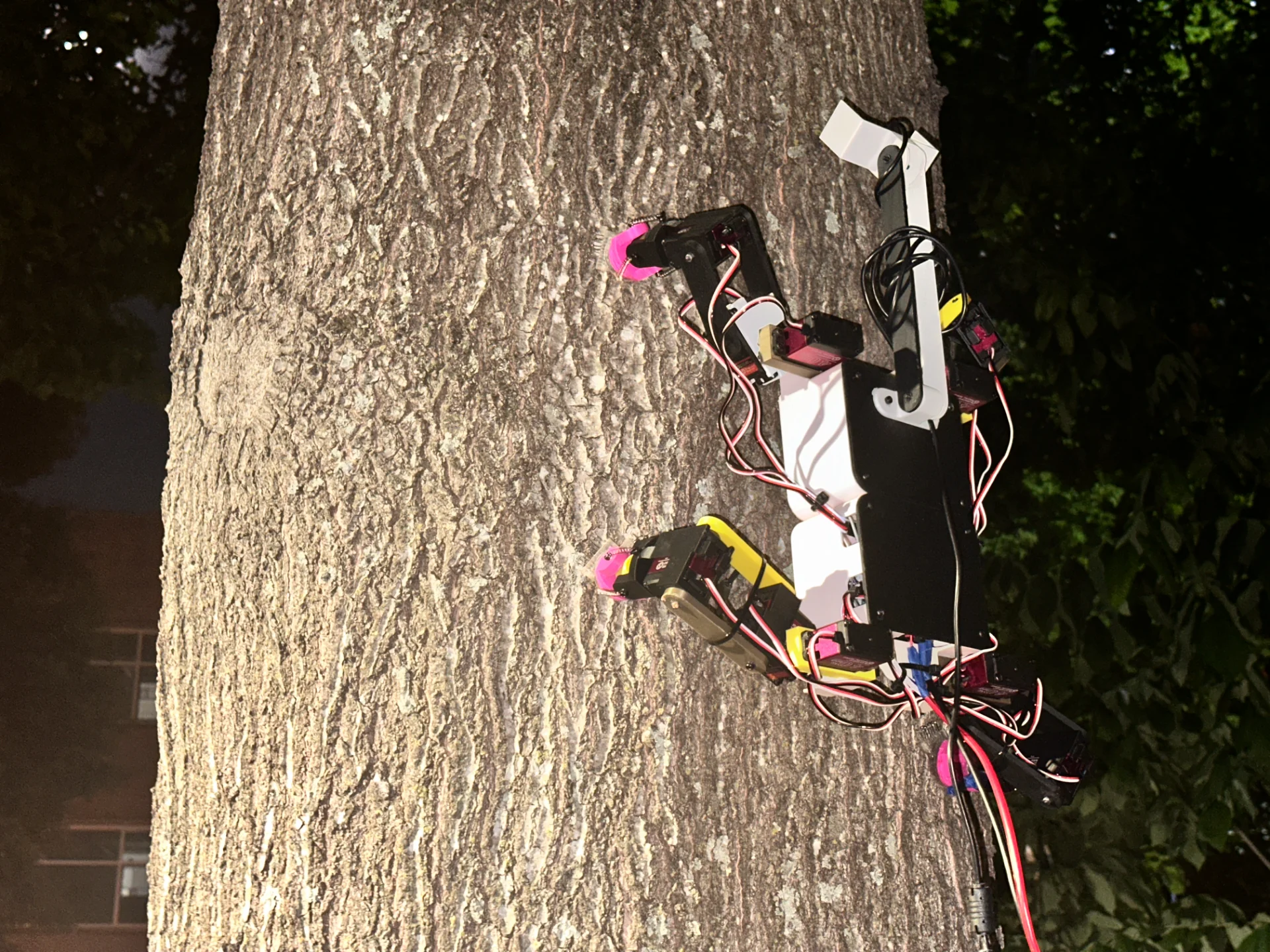 Semi-autonomous Light Observational Tree Hugger (SLOTH)