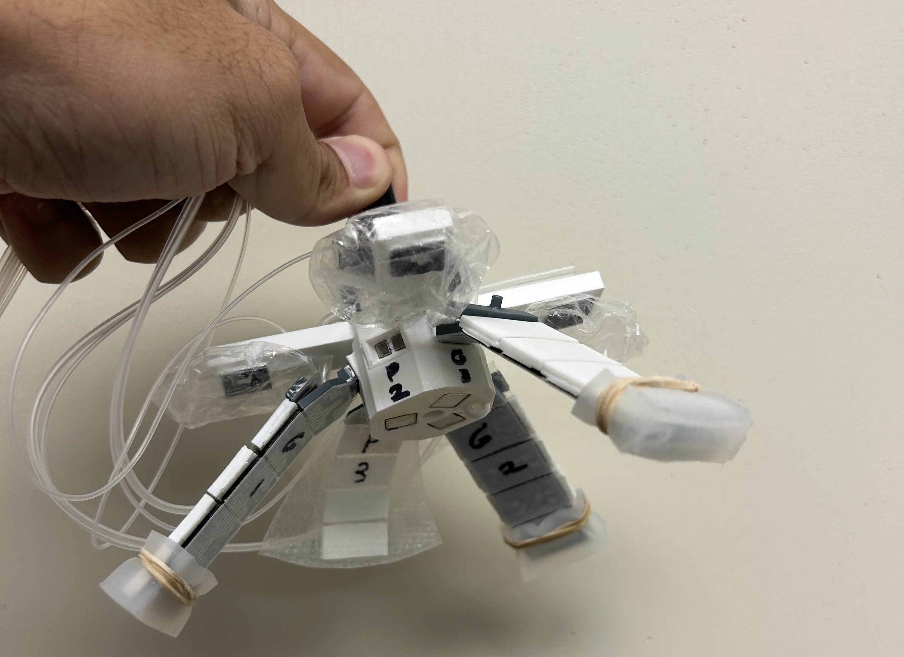 project-highlight-image