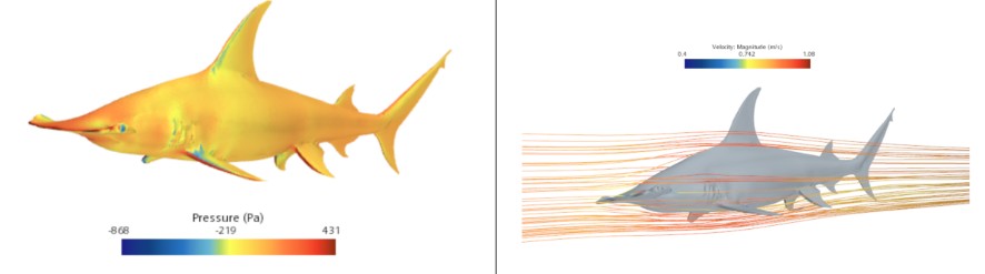 Hydrodynamic Analysis of Sharks to Guide Satellite Tag Design