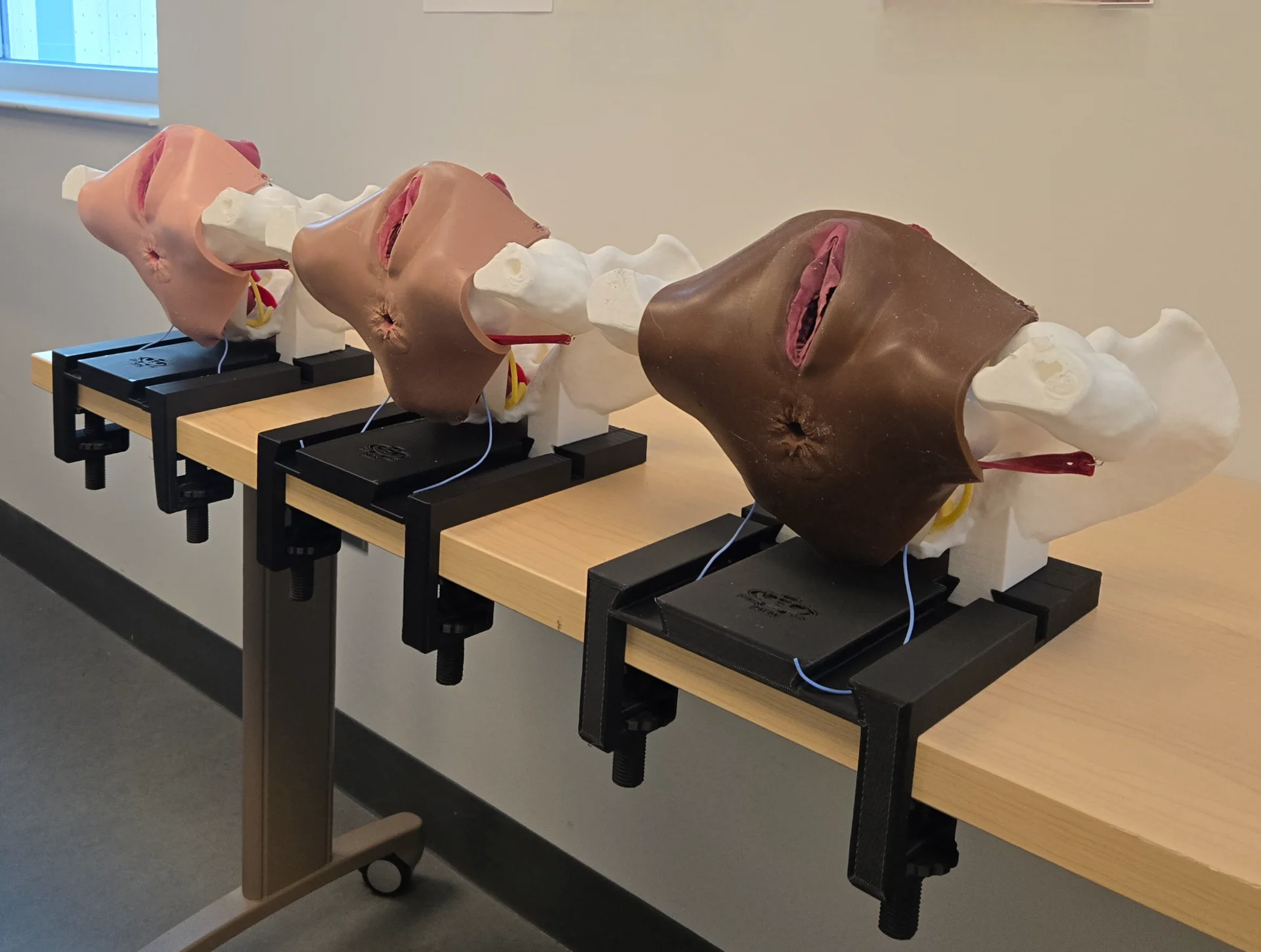 Pelvi-Sim: Pelvic Floor Training Model