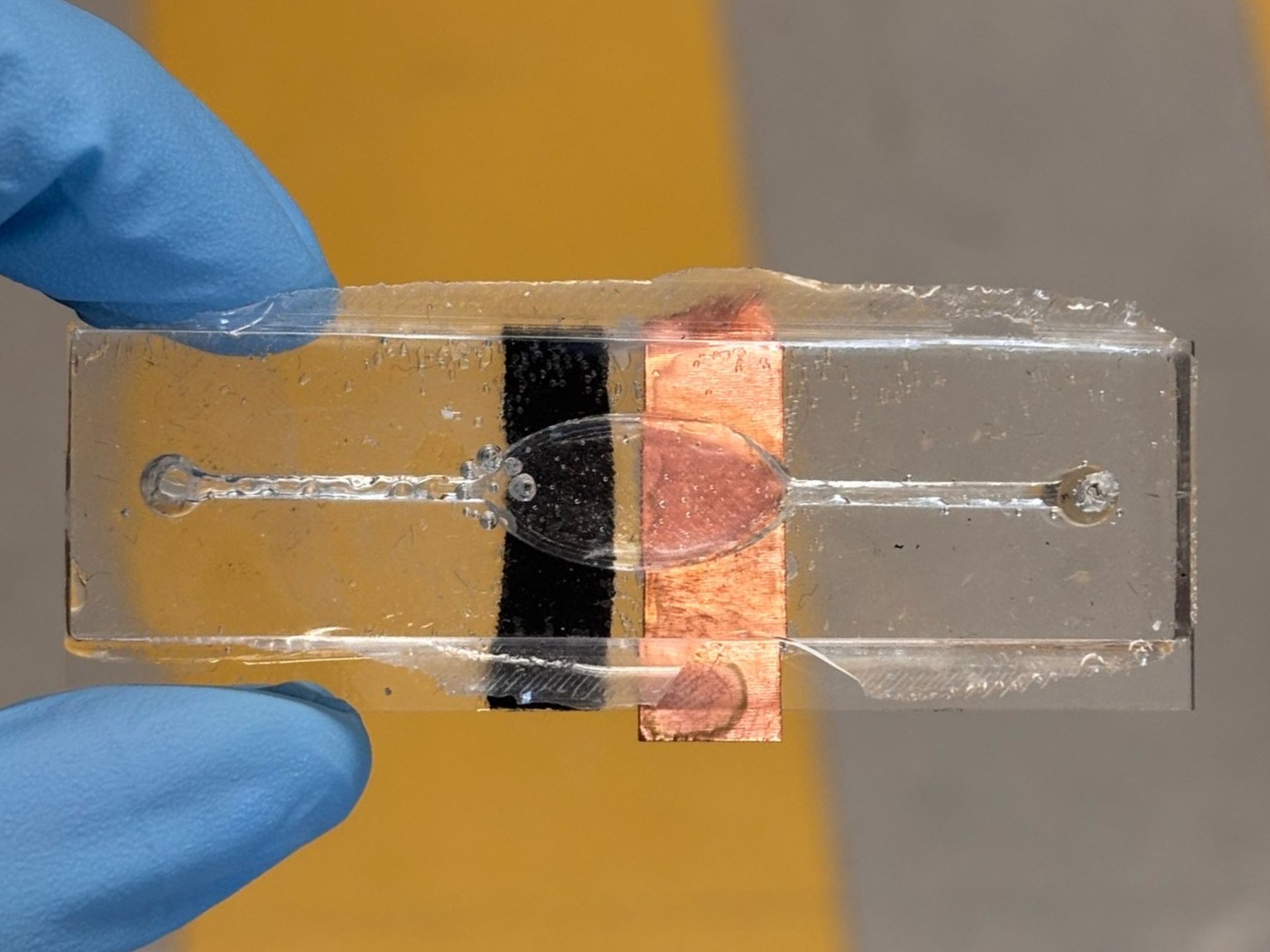 project-highlight-image