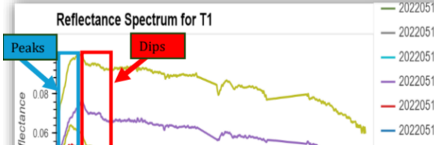 project-highlight-image